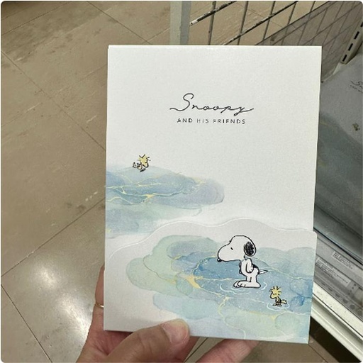 [1/25/2025-14:00-None85] Snoopy Memo River 