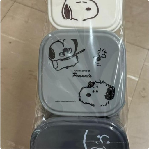 [1/25/2025-14:16-270] Snoopy Lunch Box Fill 3 