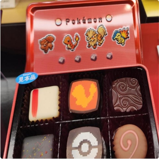 [1/25/2025-18:27-290] Pokemon Tincase Chocolate Red