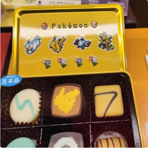 [1/25/2025-18:27-290] Pokemon Tincase Chocolate Yellow