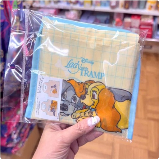 [1/18/2025-11:31-215] Eco Bag Lady Tramp