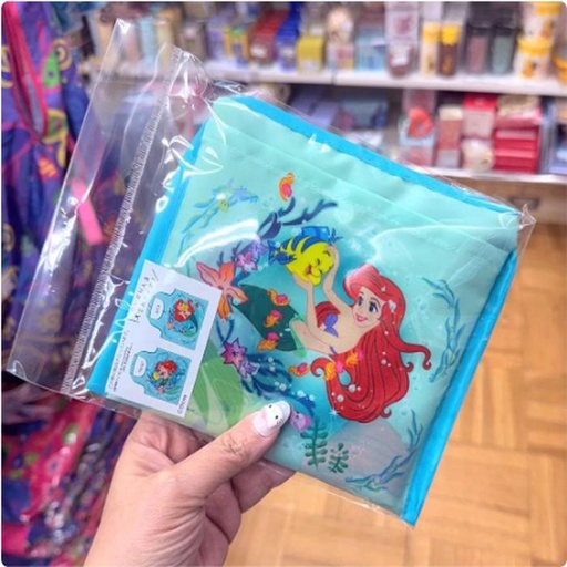[1/18/2025-11:31-215] Eco Bag Ariel