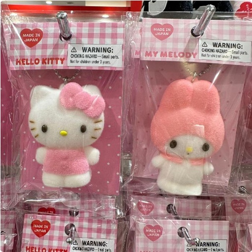 [1/18/2025-13:50-170] Keychain ​​HK / MM