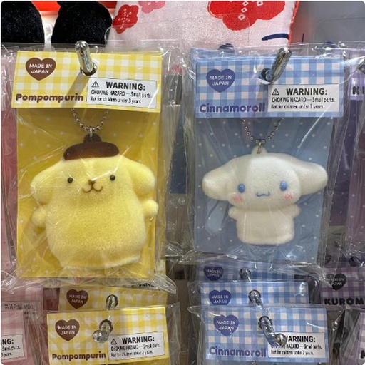 [1/18/2025-13:50-170] PPP / CR Keychain