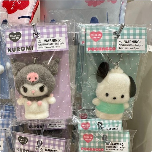 [1/18/2025-13:50-170] Kr / CR Keychain