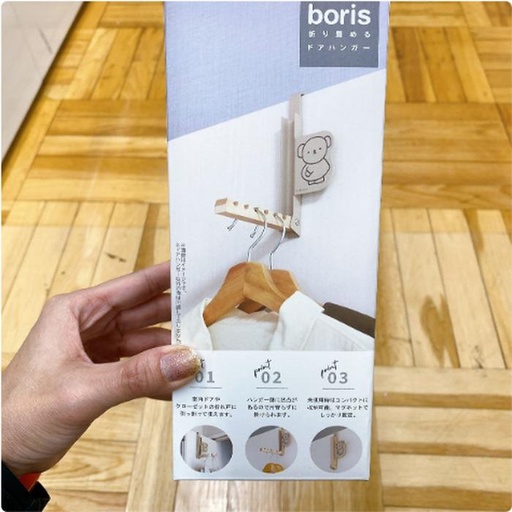 [1/18/2025-15:19-245] Boris Hanger