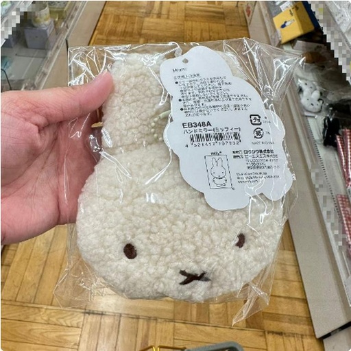 [1/18/2025-18:12-235] Miffy Mirror