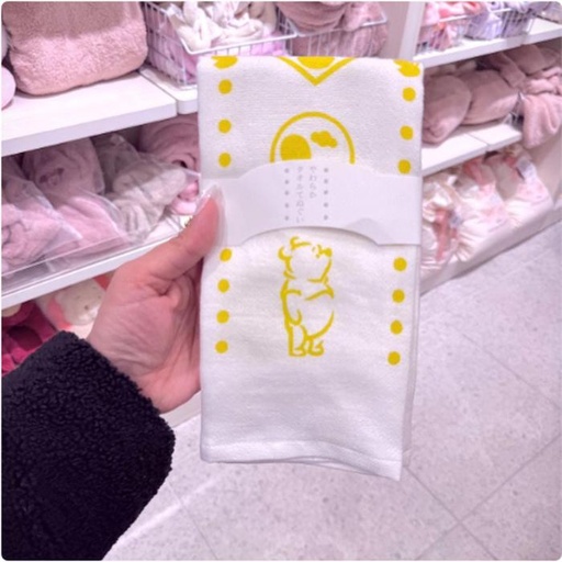 [1/18/2025-21:28-170] Towel Pooh
