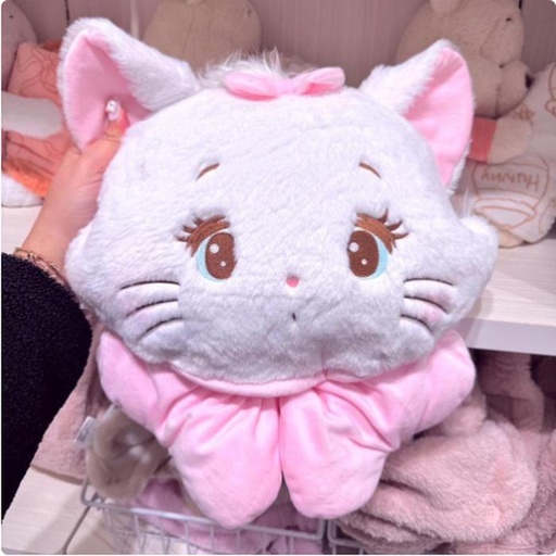 [1/18/2025-21:31-440] Marie Blanket with Case