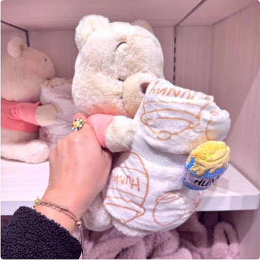 [1/18/2025-21:37-440] Winnie The Pooh Blanket Set With Plush