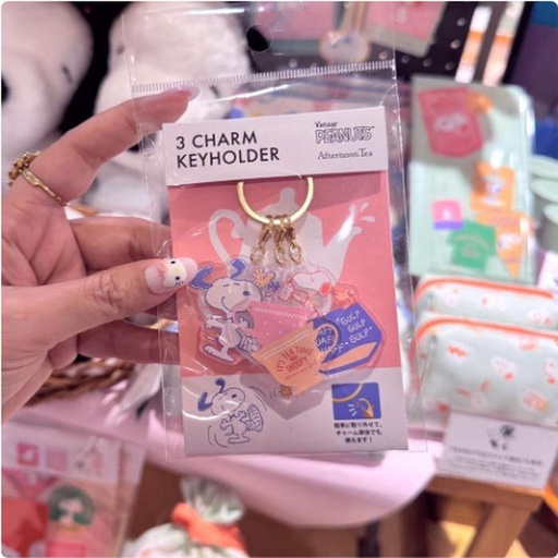 [1/19/2025-07:52-225] 3 Charm Keychain Set 