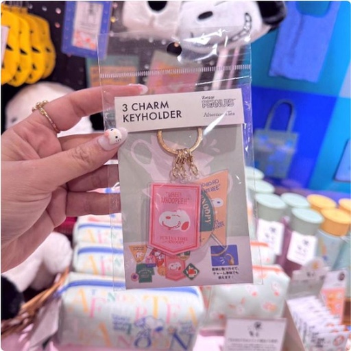 [1/19/2025-10:27-225] 3 Charm Keychain Set
