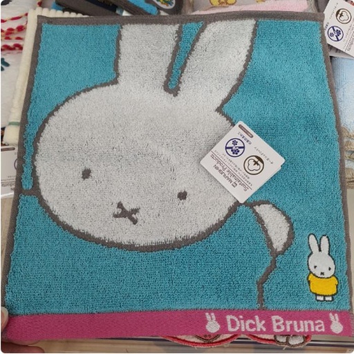 [1/20/2025-08:30-120] Mintow Miffy Green