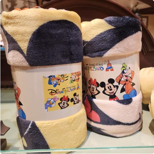 [1/20/2025-17:53-330] Blanket Mickey and Friends 