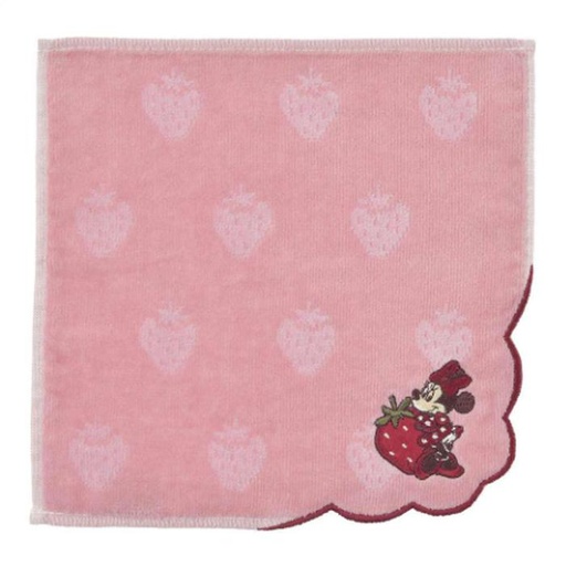 [1/28/2025-07:56-140] Handtowel Minnie
