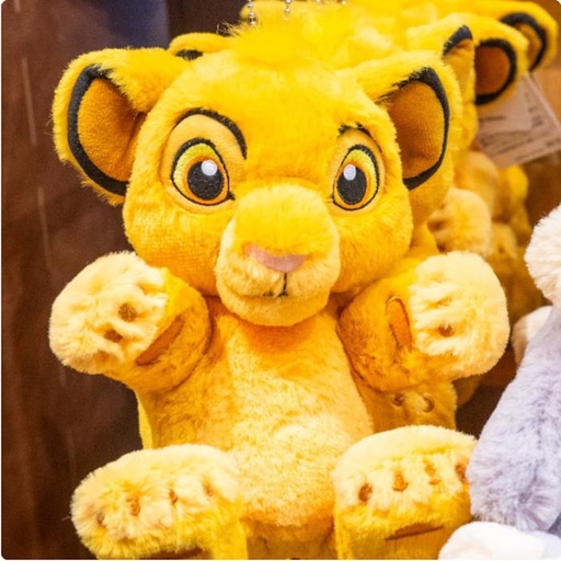[1/28/2025-08:01-470] Pozy Pen Case Simba