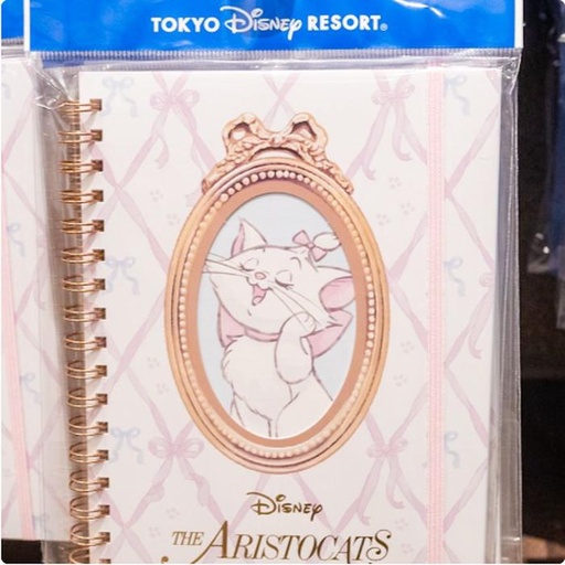 [1/28/2025-08:17-225] B6 Marie Notebook
