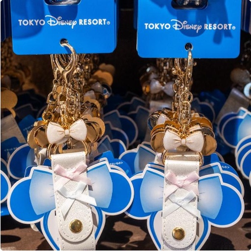 [1/28/2025-08:18-265] Keychain For Headband