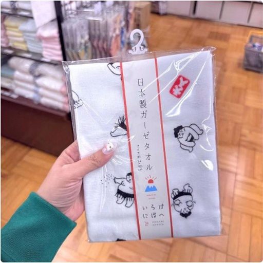 [1/21/2025-16:43-120] Towel Sumo 