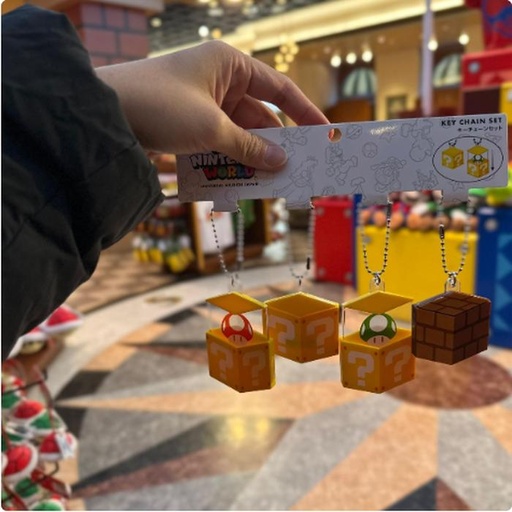 [1/23/2025-08:10-420] Keychain Sets Mario