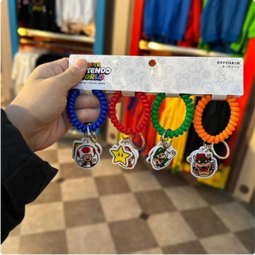 [1/23/2025-08:11-435] Keychain Sets Mario