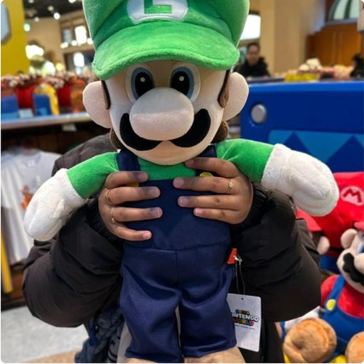 [1/23/2025-08:11-None1700] Large Luigi Plush 