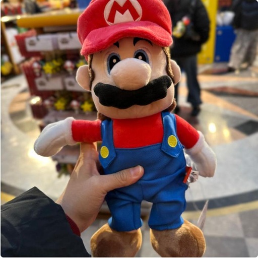 [1/23/2025-08:16-720] Mario Medium Plush