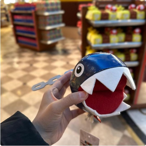 [1/23/2025-08:19-420] Plush Wanwan Mario