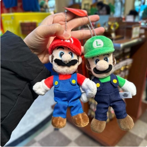 [1/23/2025-08:19-420] Bag Charm Mario / Luigi @each