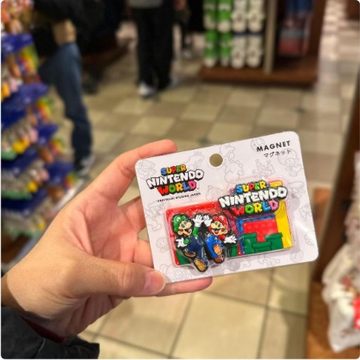 [1/23/2025-08:32-270] SNW Mario Magnet