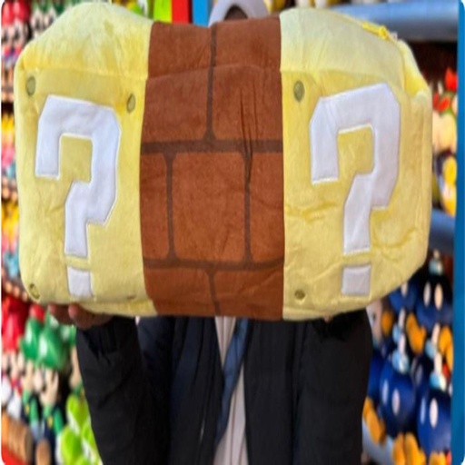 [1/23/2025-09:12-990] Mario Blocks Pillow 