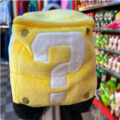 [1/23/2025-09:13-760] Big Pillow can be Storage Case 