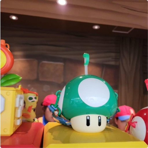 [1/23/2025-09:34-470] Sipper Power Up Mario Green Mushroom
