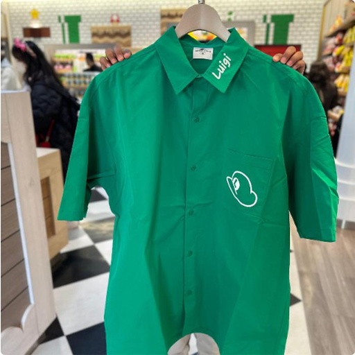 [1/23/2025-09:52-990] Luigi Green Shirt 