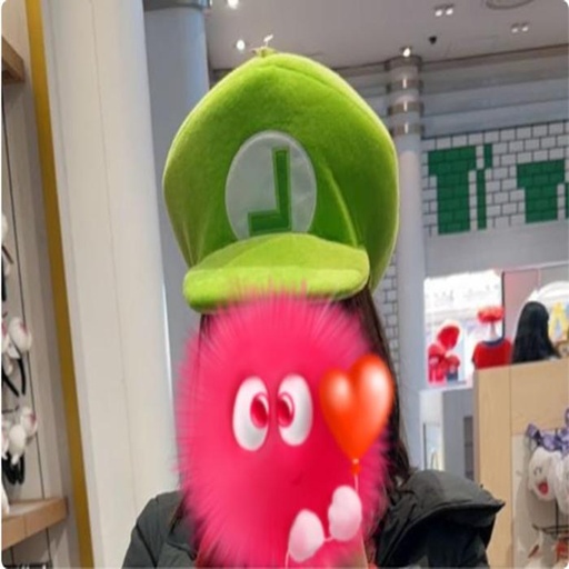 [1/23/2025-10:09-630] Legend Luigi Hats Can for Kids/Adult 