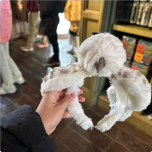 [1/26/2025-07:19-520] Hedwig Headband