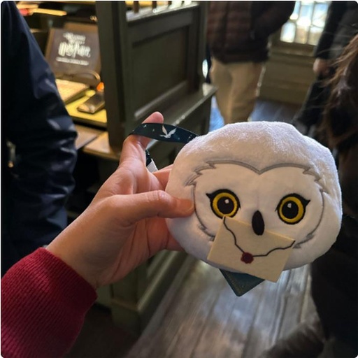 [1/26/2025-07:20-480] Shoulder Pocket Hedwig Rear There is a Pocket for Cards
