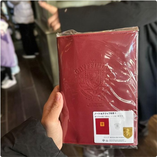 [1/26/2025-07:23-500] Gryffindor Book Cover 