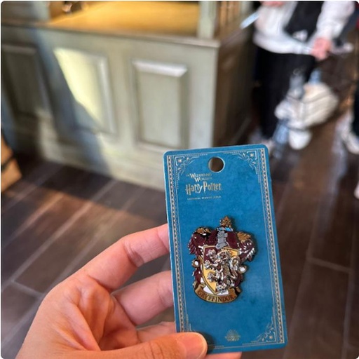 [1/26/2025-07:36-170] Gryffindor Pin
