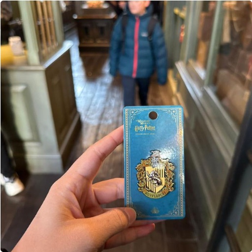 [1/26/2025-07:36-170] Pin Hufflepuff