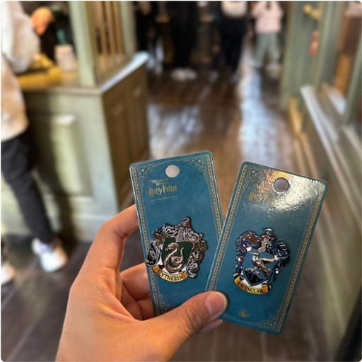 [1/26/2025-07:37-170] Pin Ravenclaw / Slytherin @Each