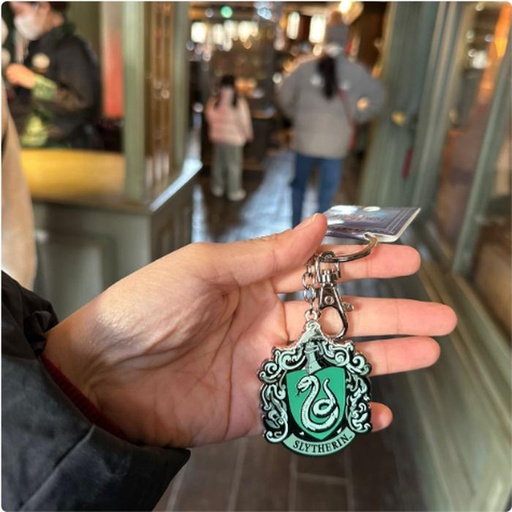 [1/26/2025-07:41-235] Keychain Slytherin
