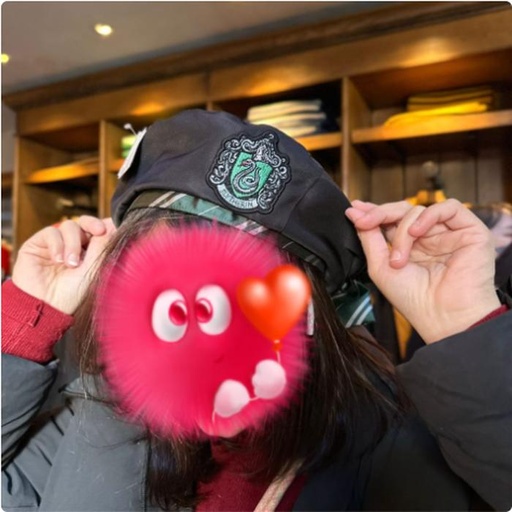 [1/26/2025-08:24-700] Slytherin Beret Hat