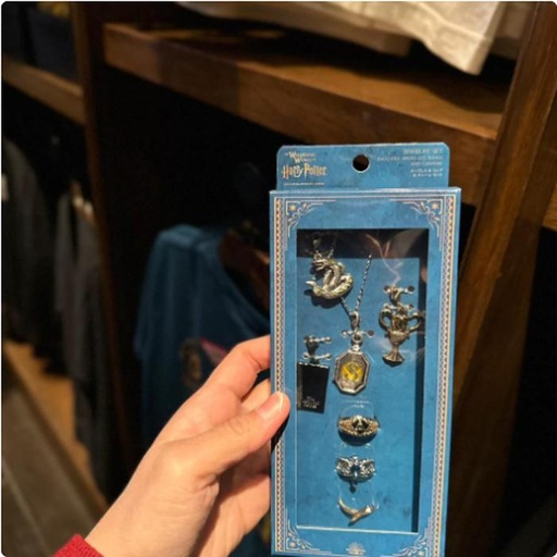 [1/26/2025-08:35-560] Jewelery Set Harry Potter