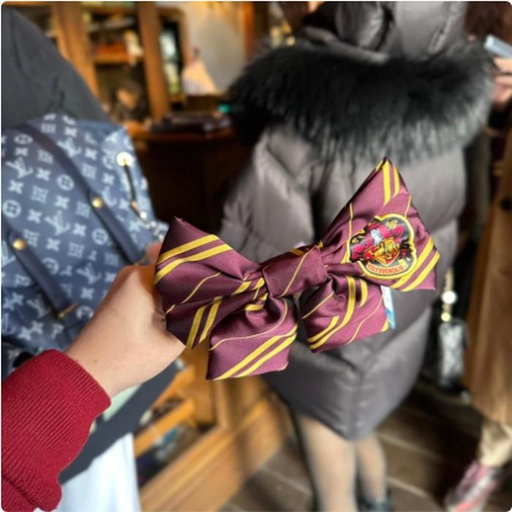 [1/26/2025-08:35-490] Set Bando + Gryffindor