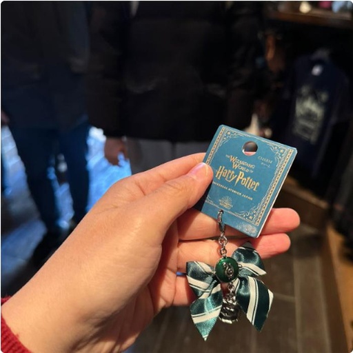 [1/26/2025-08:37-235] Keychain Ribbon Slytherin