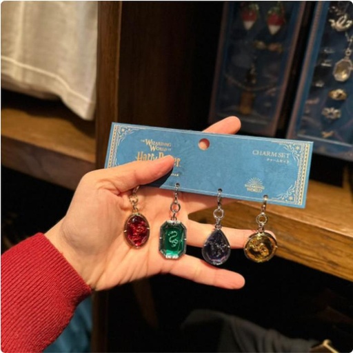 [1/26/2025-08:40-440] Keychain Harry Potter Gem All Houses