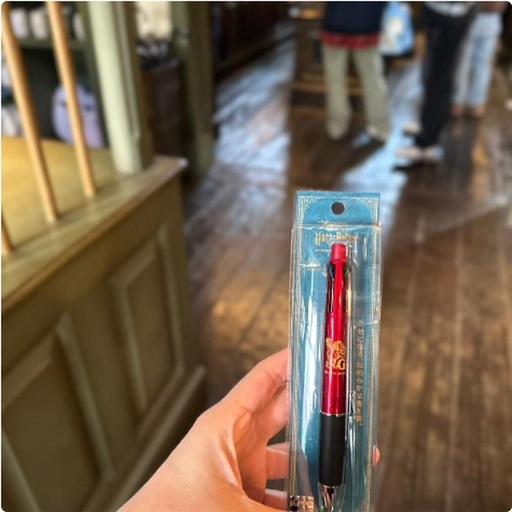 [1/26/2025-08:41-390] Pen Multicolor Harry Potter