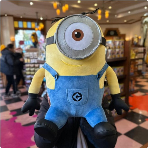[1/26/2025-10:07-800] Big Plush Minion