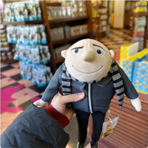 [1/26/2025-10:07-540] Plush Gru 